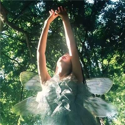 陆总你家四宝要逆天